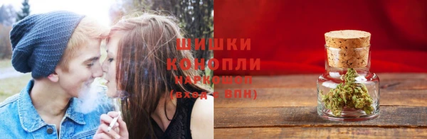 ECSTASY Горняк