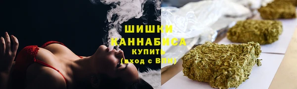 молекула духа Горно-Алтайск