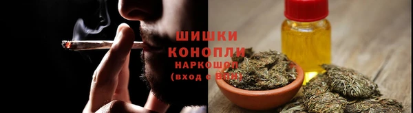 ECSTASY Горняк