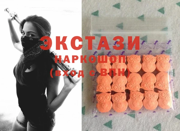 ECSTASY Горняк