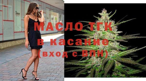 ECSTASY Горняк