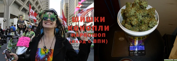 твердый Магас