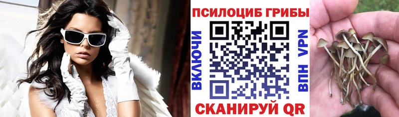 гидра вход  Духовщина  Псилоцибиновые грибы Psilocybine cubensis  наркота 